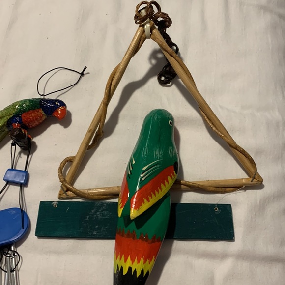 Parrots 🦜 - Picture 4 of 12